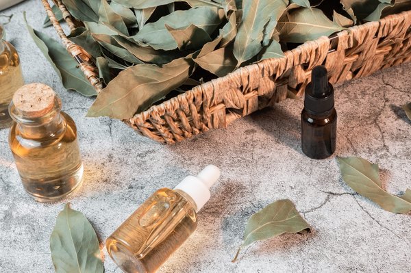 Quels sont les différents types de Macronutriments ?