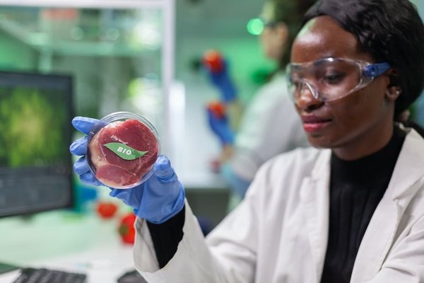 Comment cuisiner des légumes farcis sans viande pour un repas minceur ?